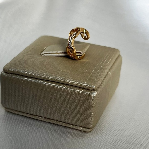 Piercing Fake Elos Com Cravejados