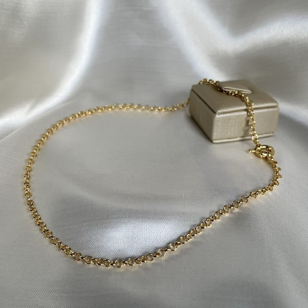 Colar Argolas Entrelaçadas Com Fecho